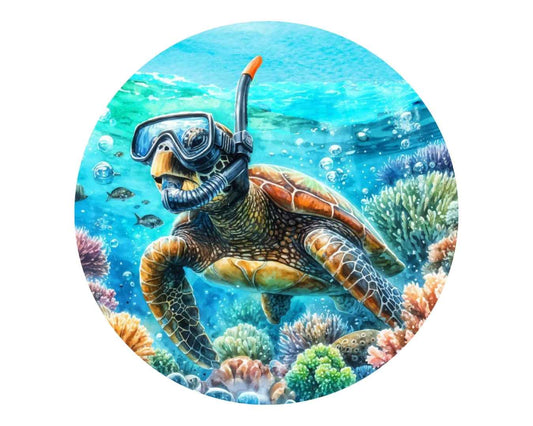 Shelly – The Reef Explorer Coaster (soon)