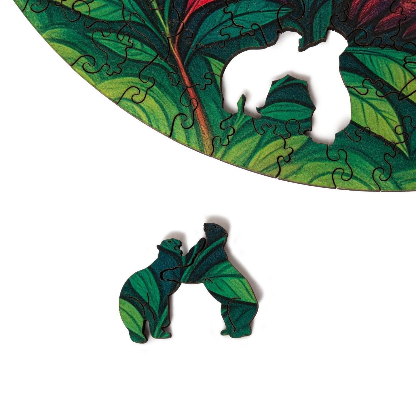 Wombat Jigsaw Puzzle – 200 Pieces