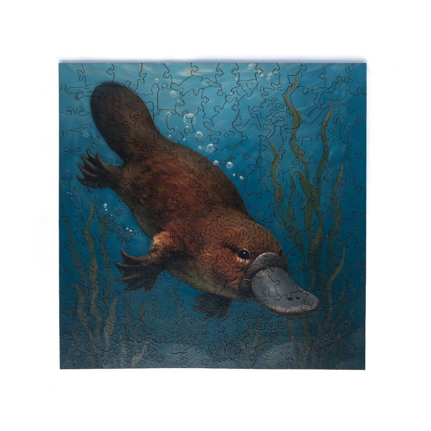 Platypus Jigsaw Puzzle – 200 Pieces